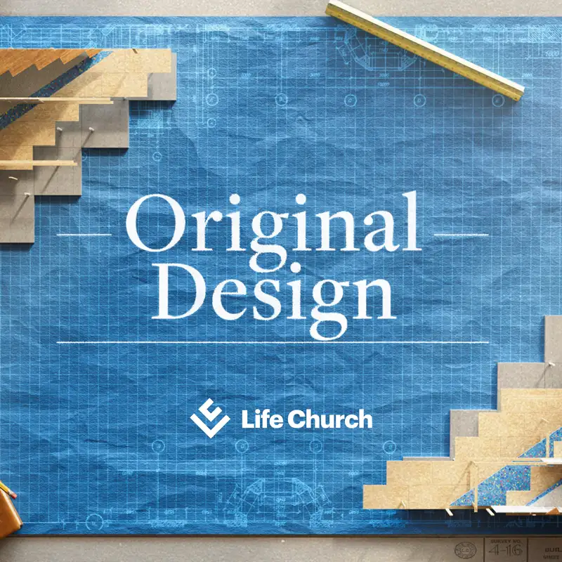 Original Design//Women's Struggles