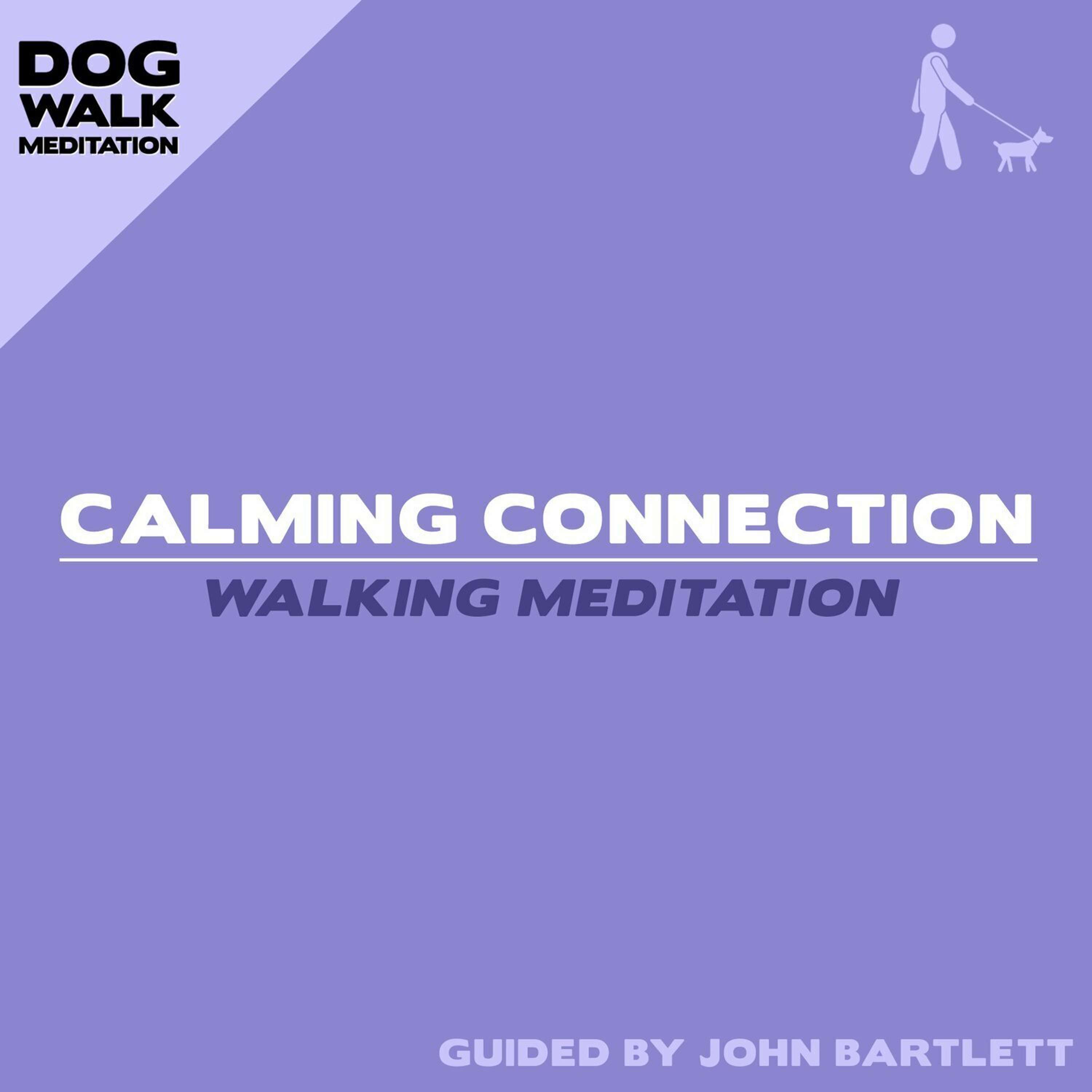 Calming Connection (Walking Meditation)