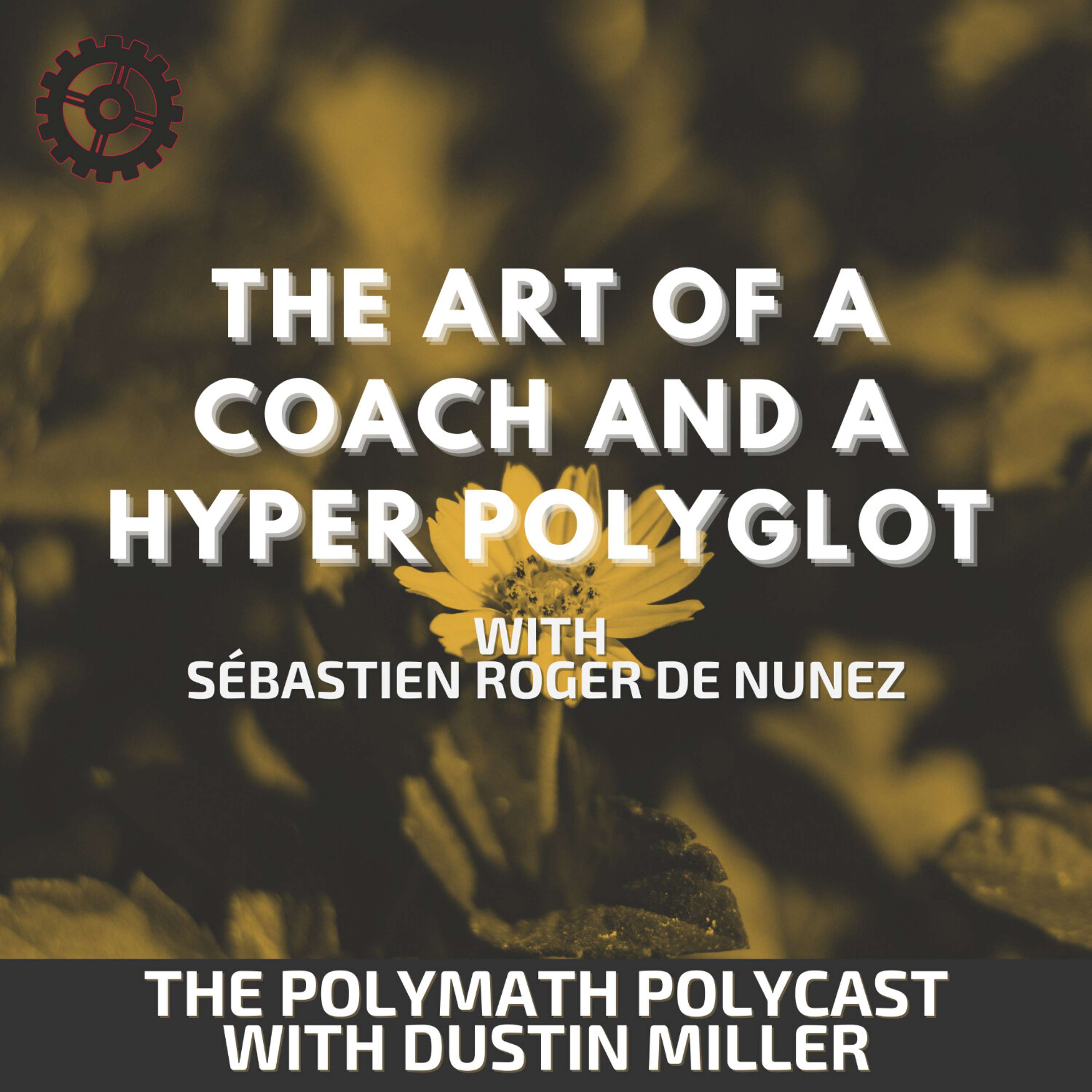 The Art of a Coach and a Hyper Polyglot with  Sébastien Roger de Nunez [Interview]