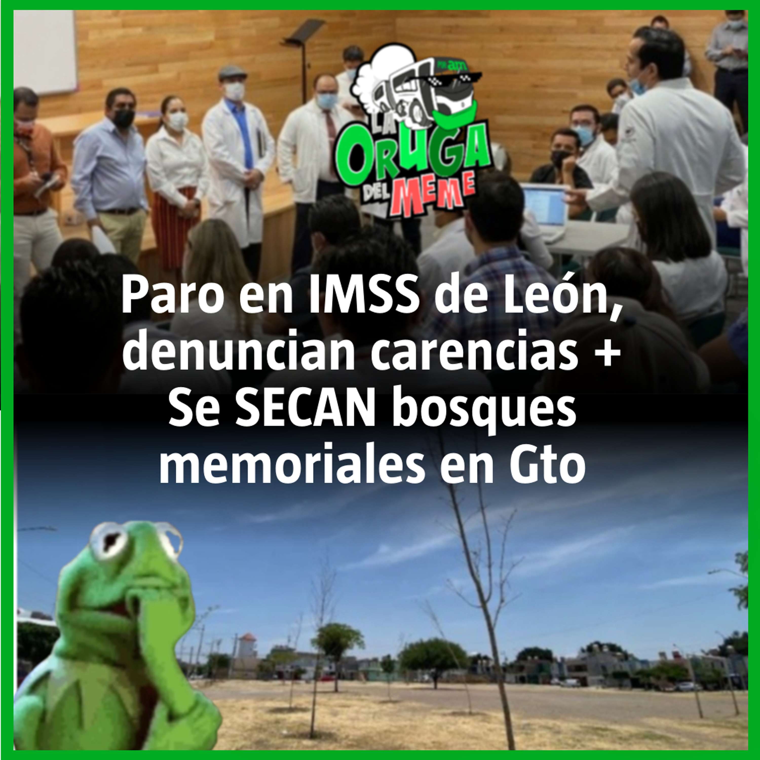 La Oruga del Meme