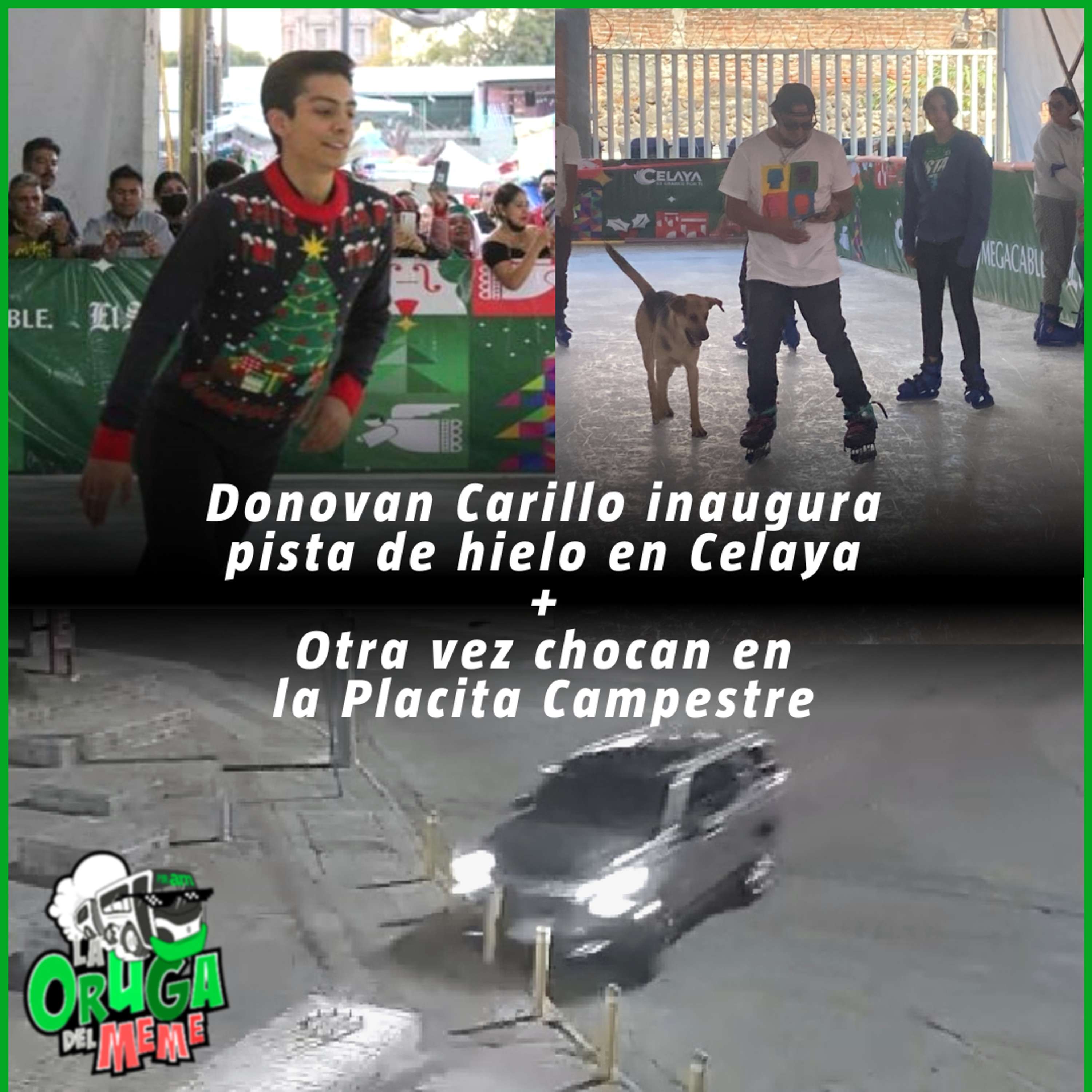 La Oruga del Meme