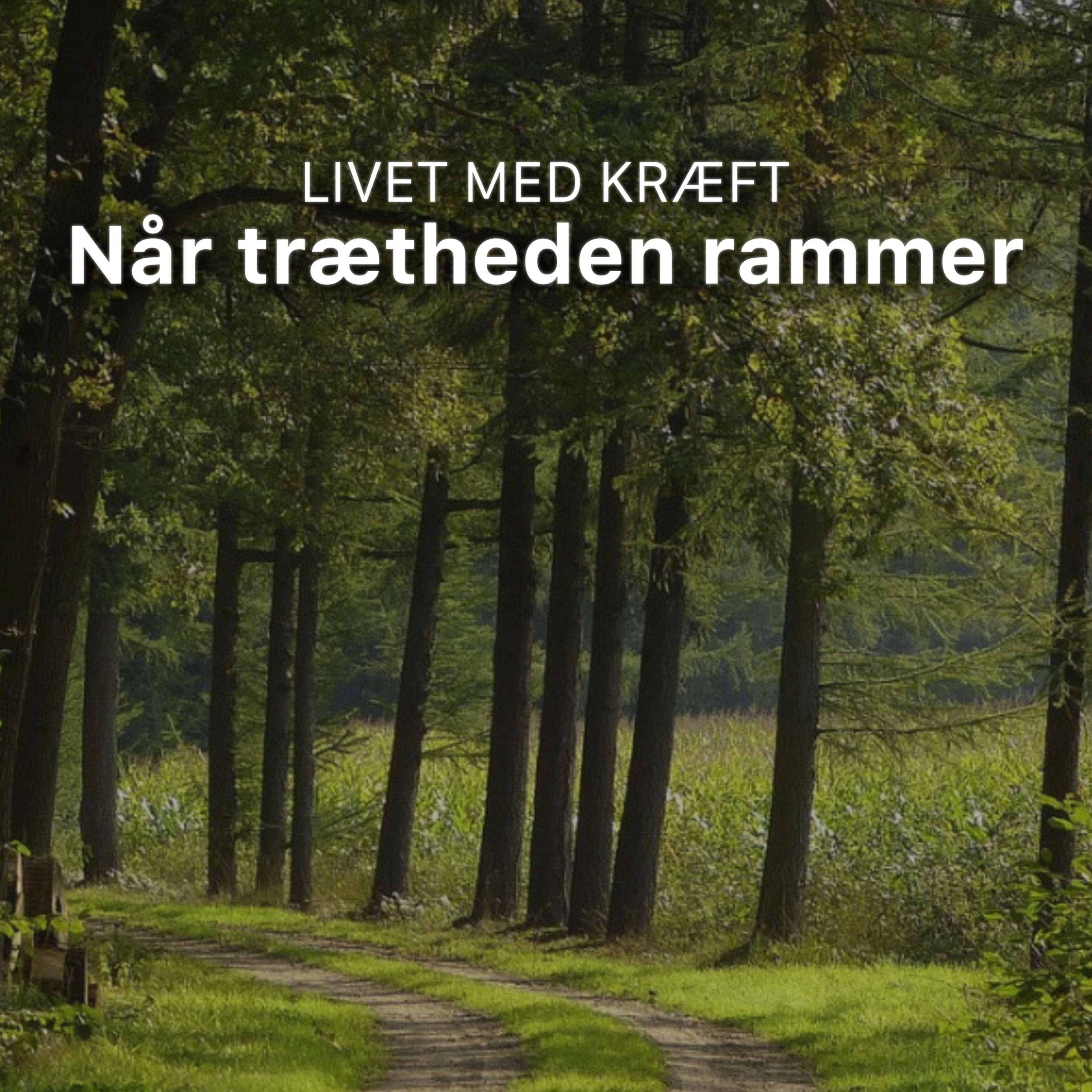 Livet med kræft: Når trætheden rammer af SIG Træthed/Fatigue