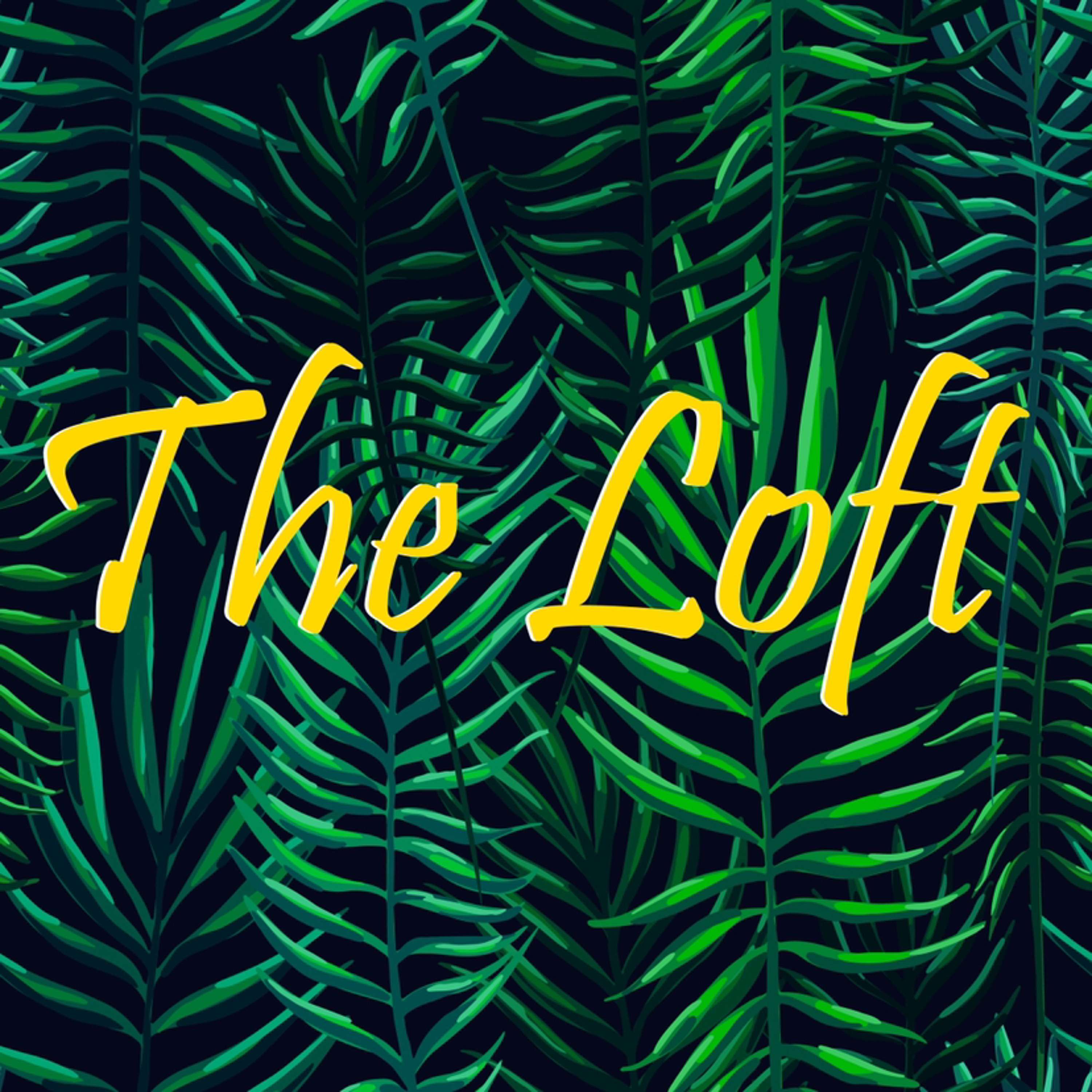 The Loft: Season 5, Episode 1: Lost Boeing, Dolphins with Lasers, & a Two-Million Dollar Kill House