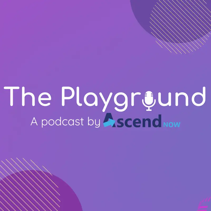 The Playground