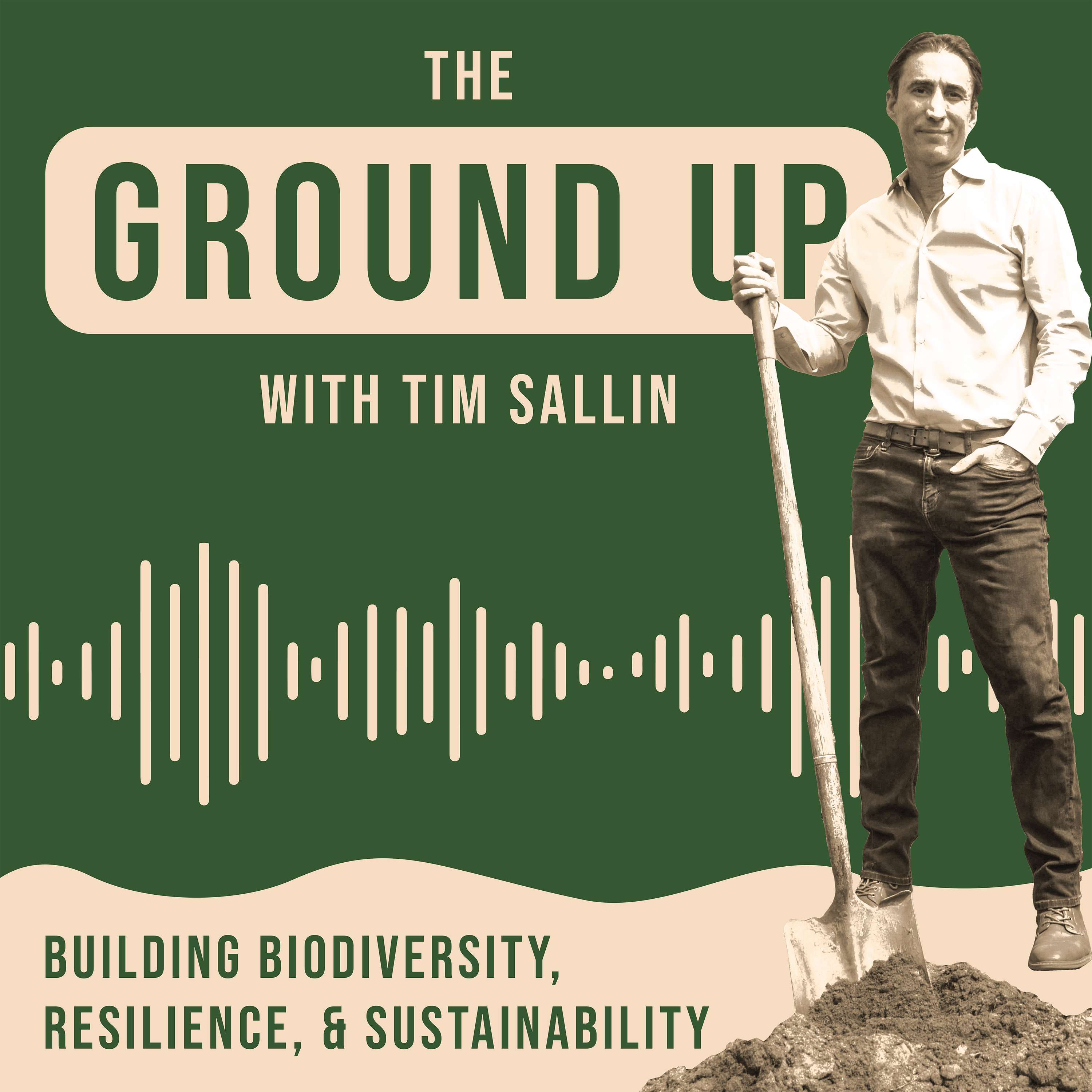 The Ground Up