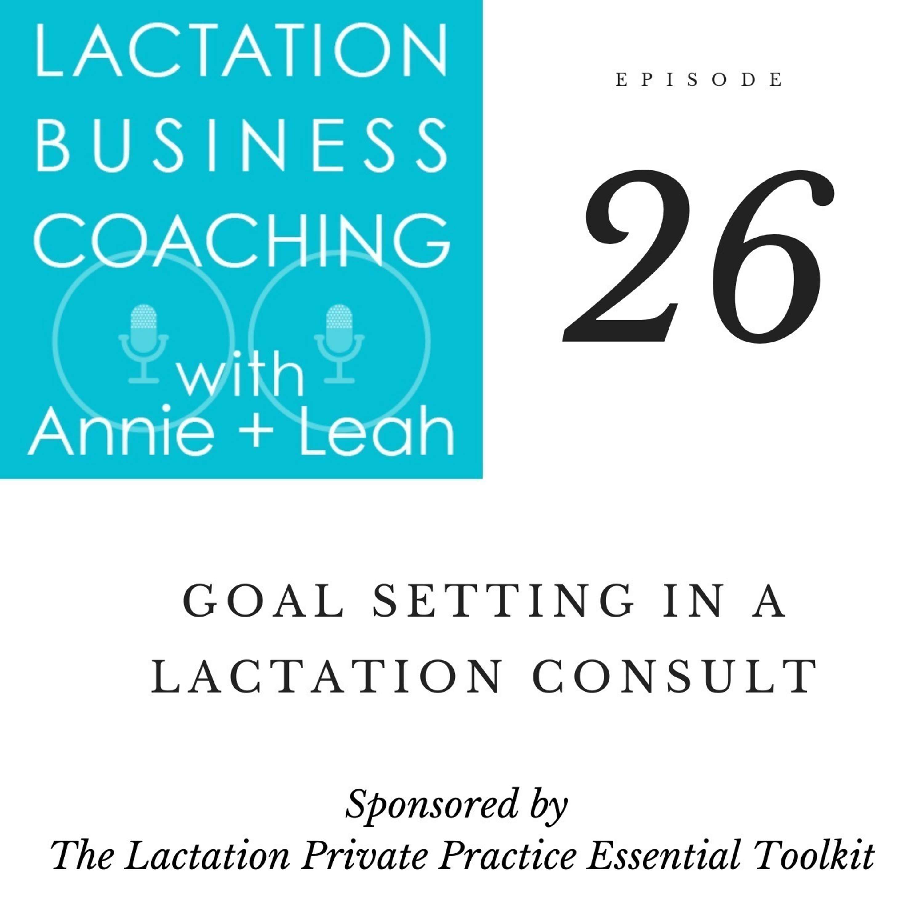 26 | Goal Setting in a Lactation Consult