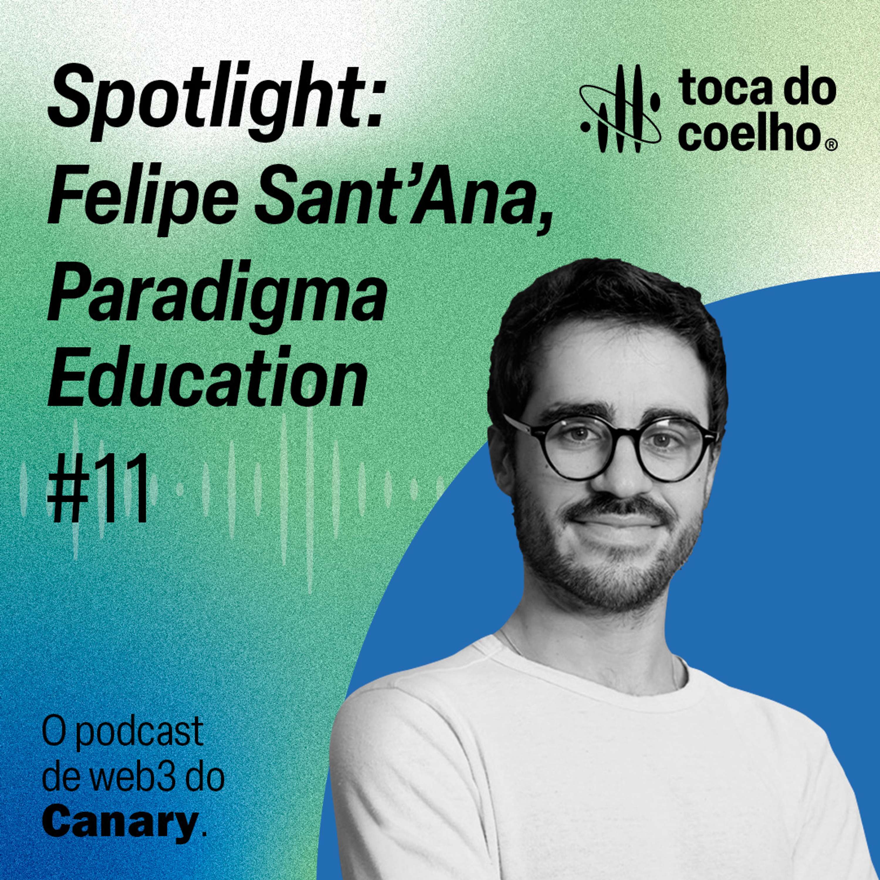 Toca do coelho