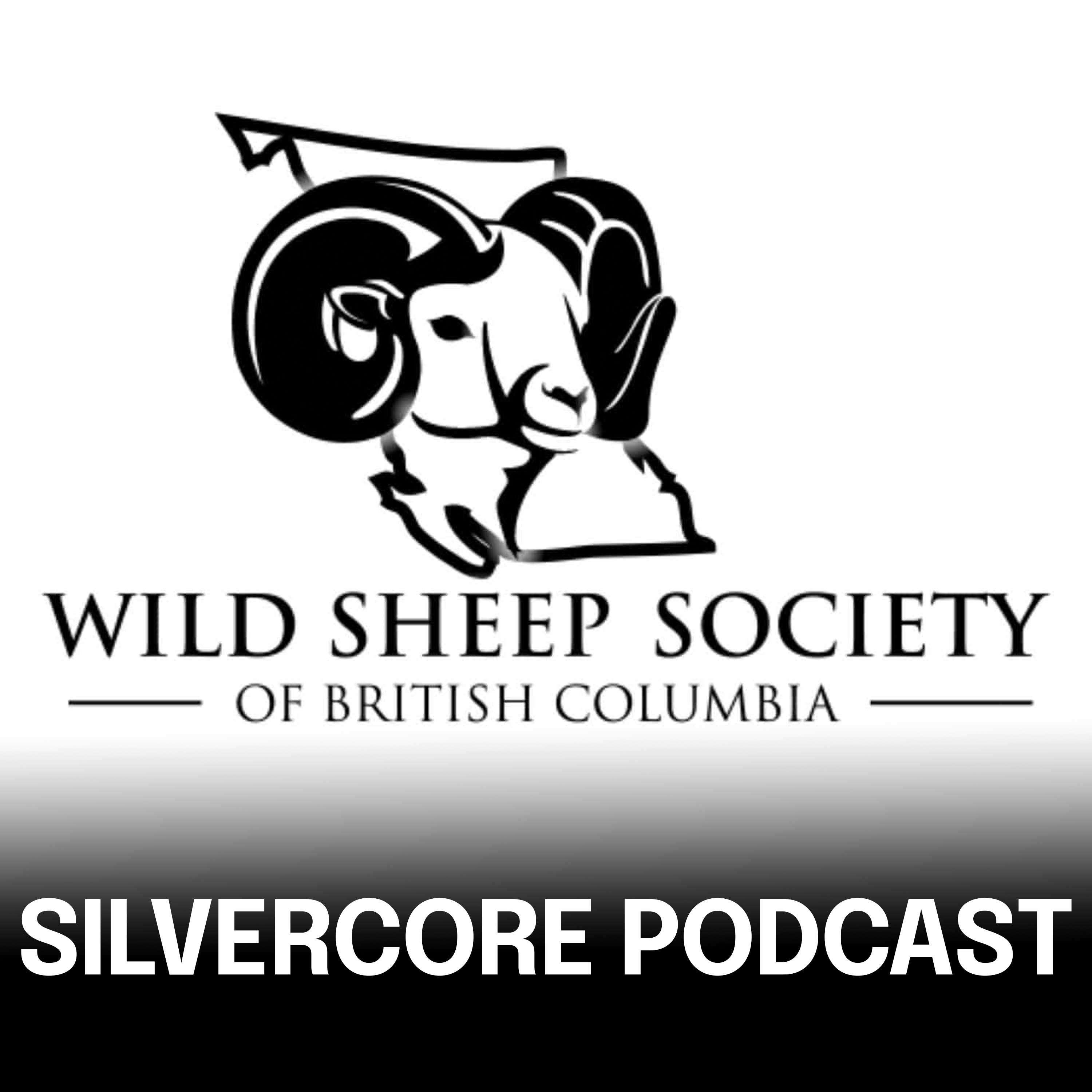The Silvercore Podcast with Travis Bader