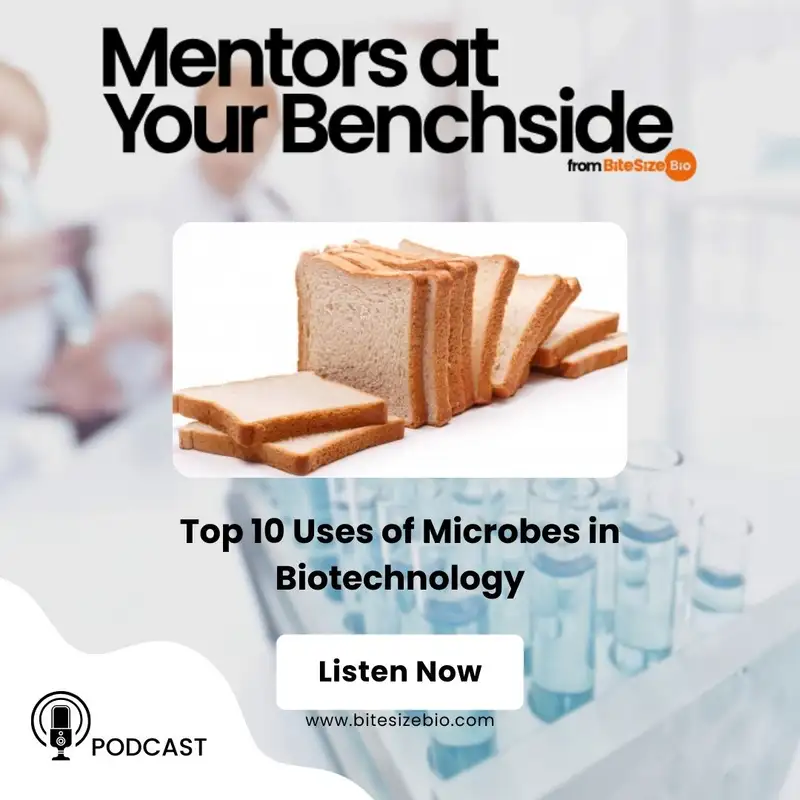 Top 10 Uses of Microbes in Biotechnology