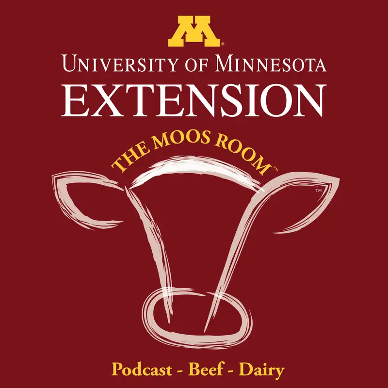 Episode 163 - When to help a cow or heifer who is calving - UMN Extension's The Moos Room