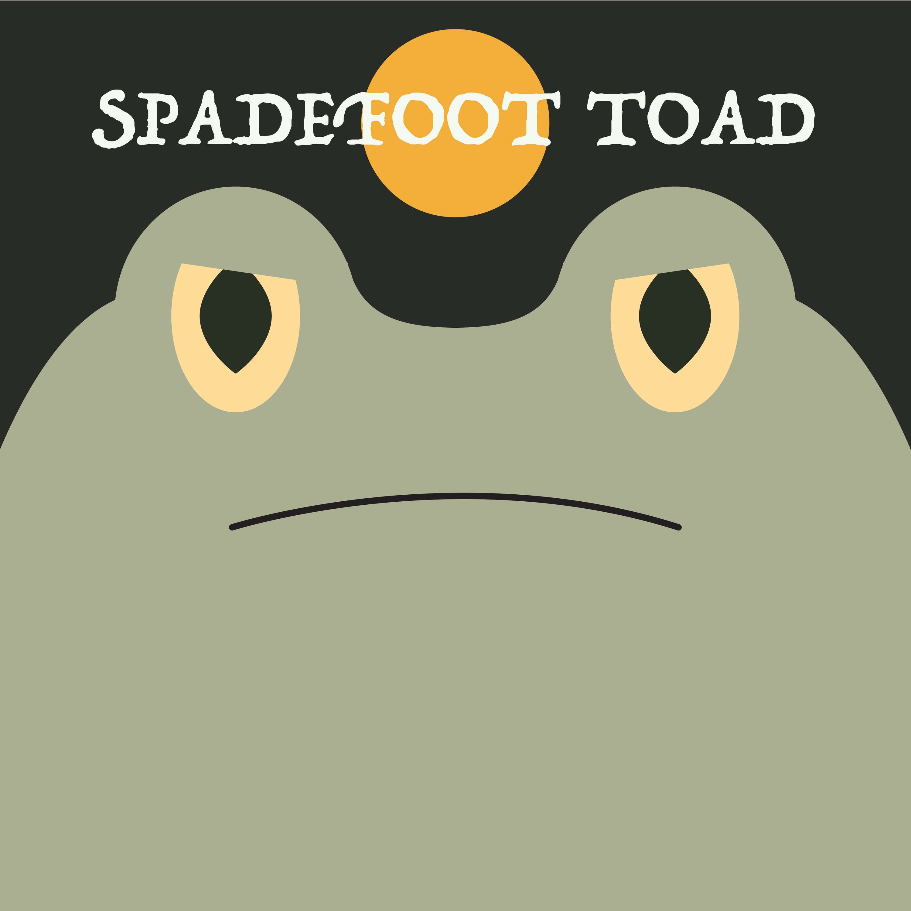 Spadefoot Toad | Week of OcTOADber 31st