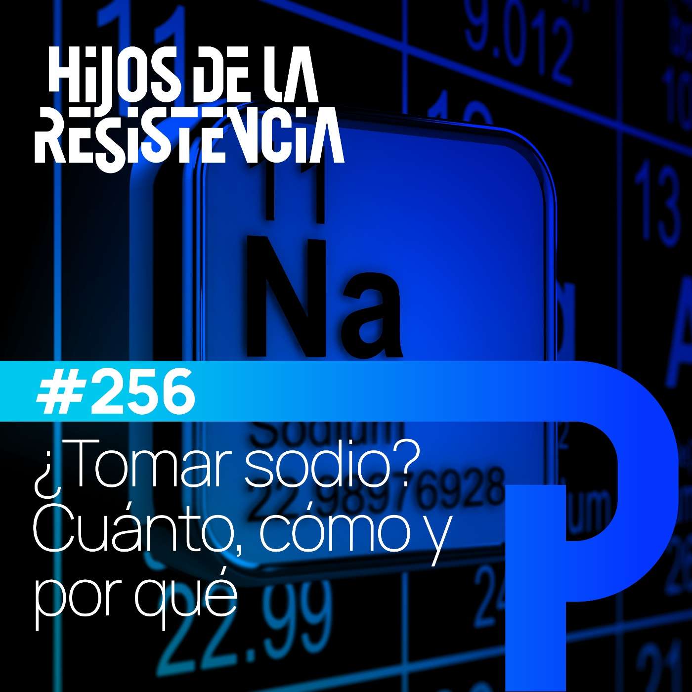 Hijos de la Resistencia
