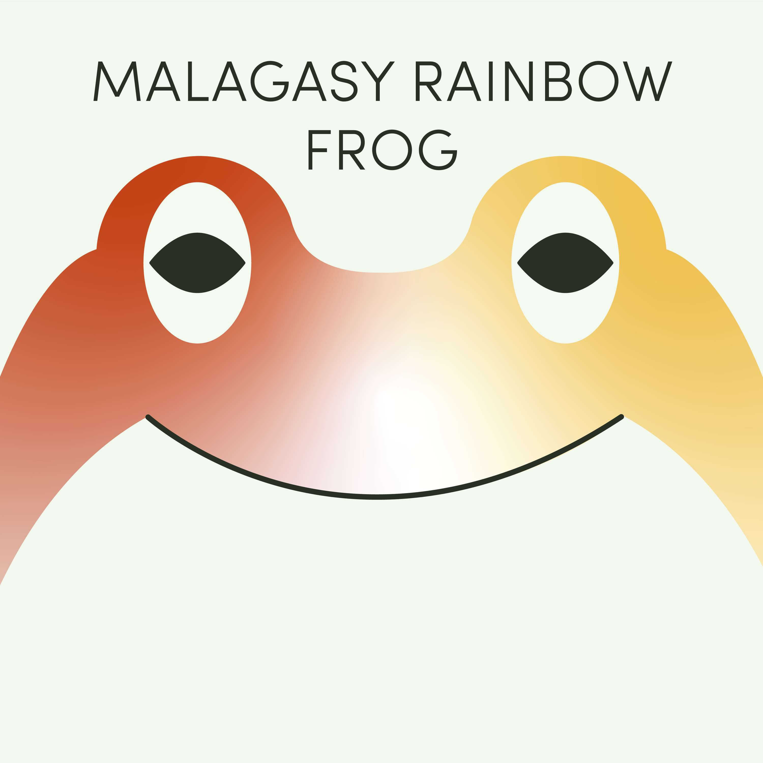 Malagasy Rainbow Frog | Week of August 22nd