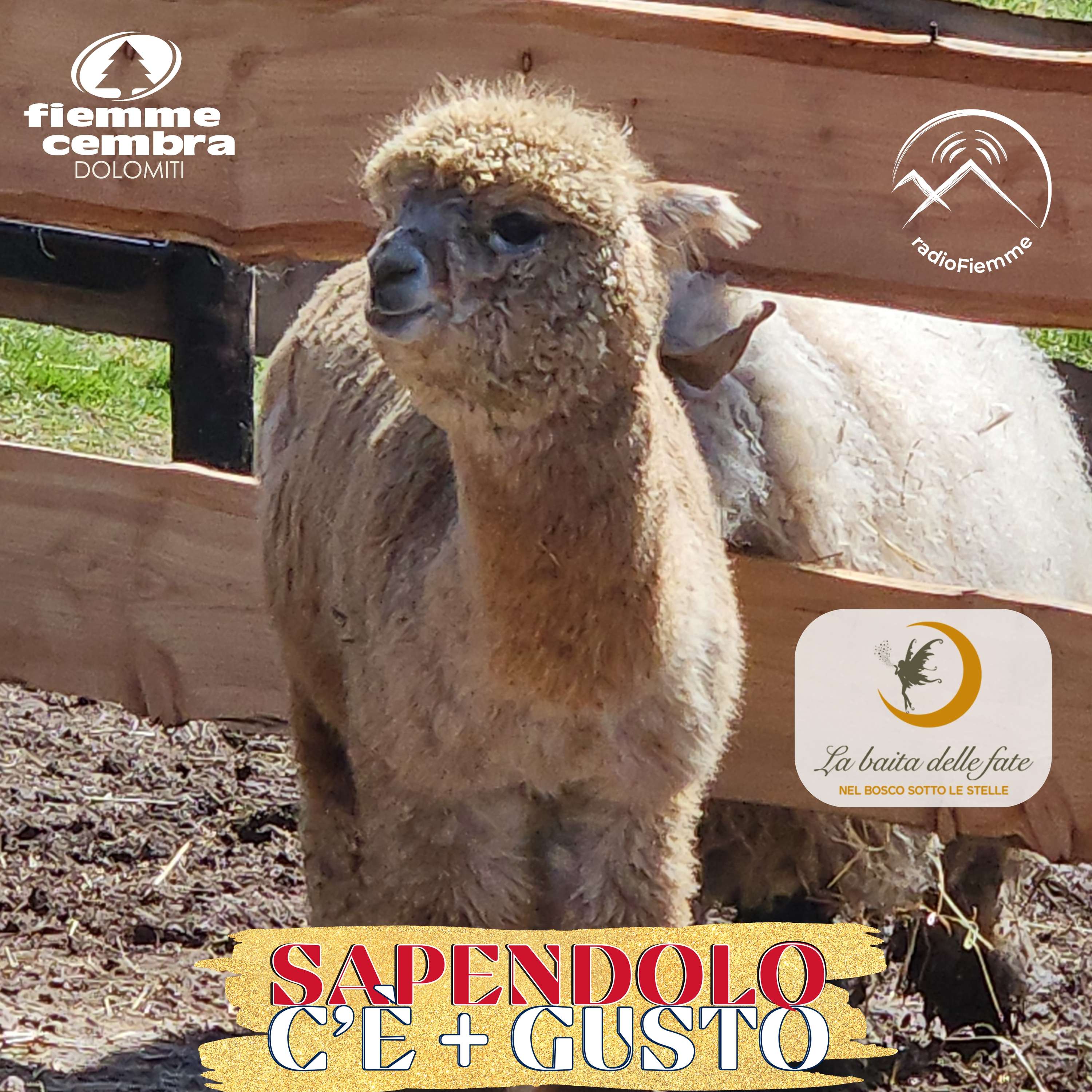 Sapendolo c\'è più gusto