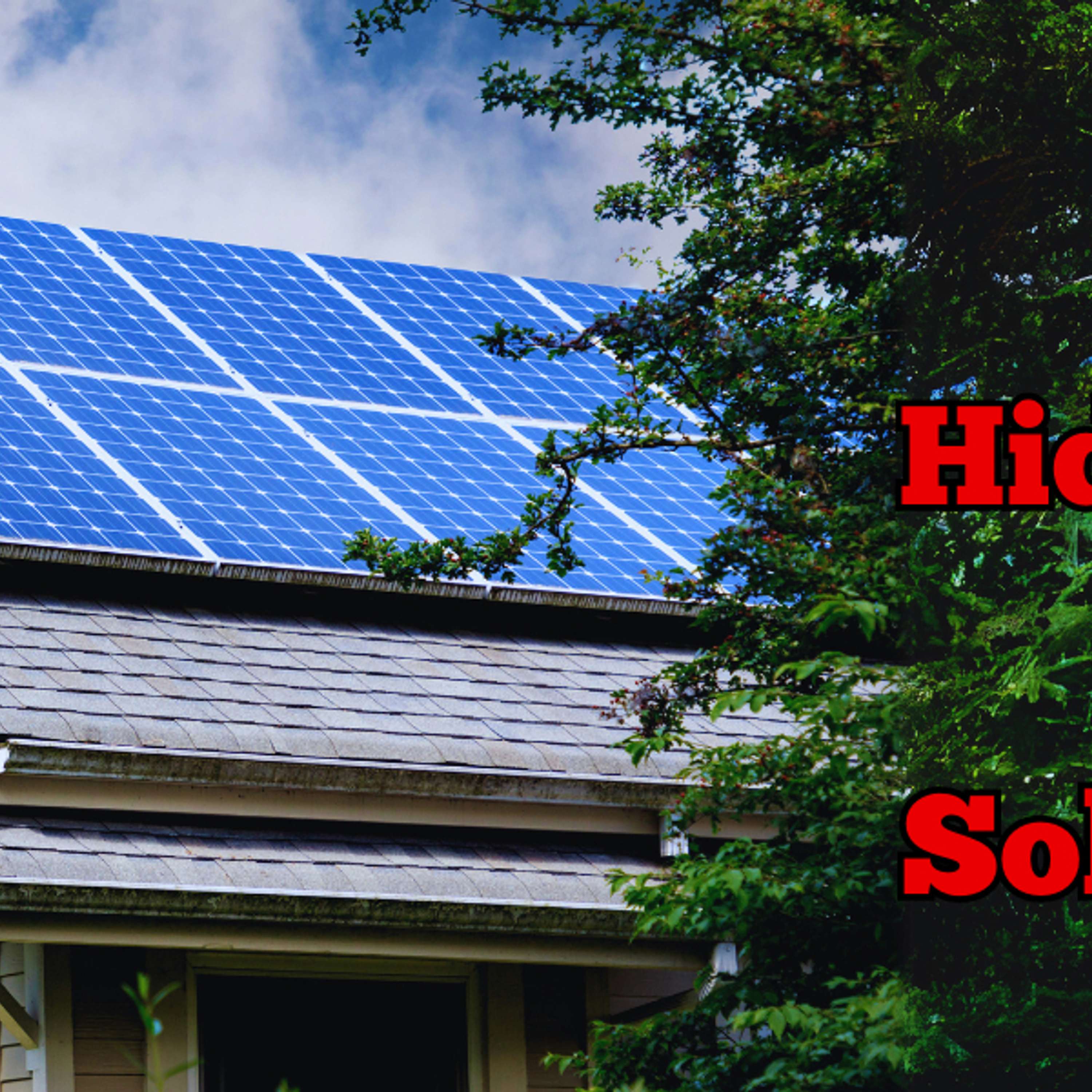 Is Momentum Solar a Pyramid Scheme?