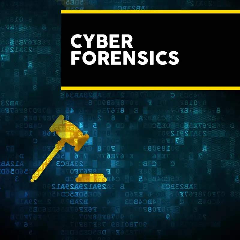 Cyber Forensics - Episode 4: Digital Forensics on the Dark Web