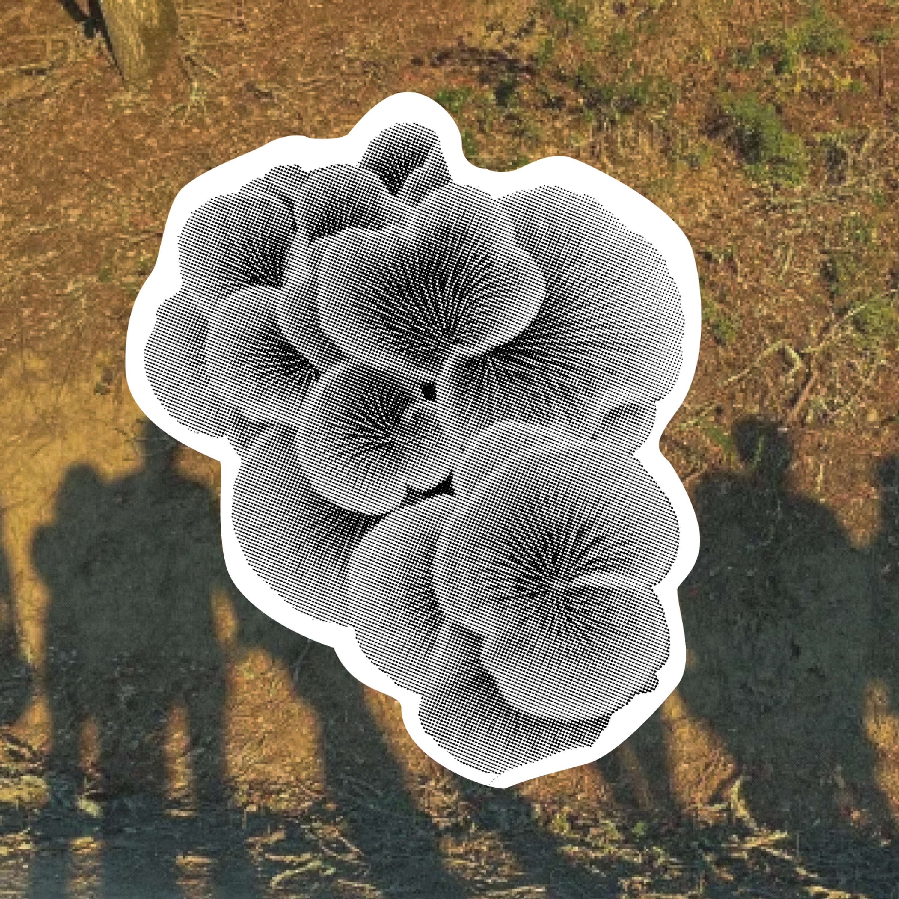 Second Nature