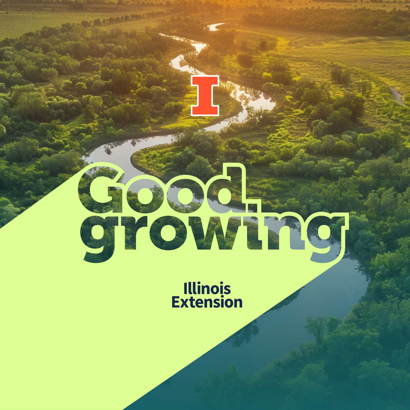 Ep. 217 Agroforestry: Blending trees, crops, ecology, and economy| #GoodGrowing