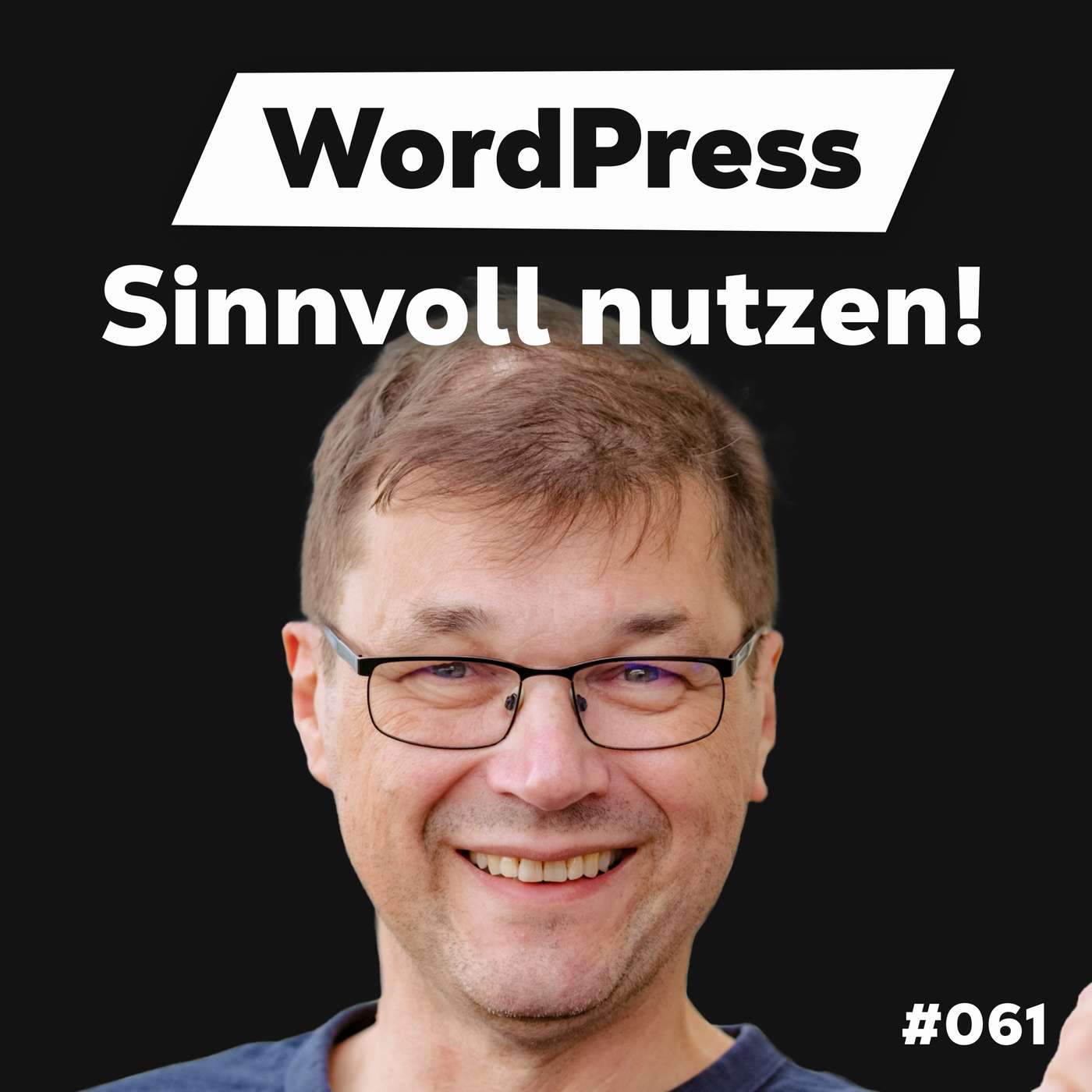Die Dominik Liss Show (WordPress & Business Talks)
