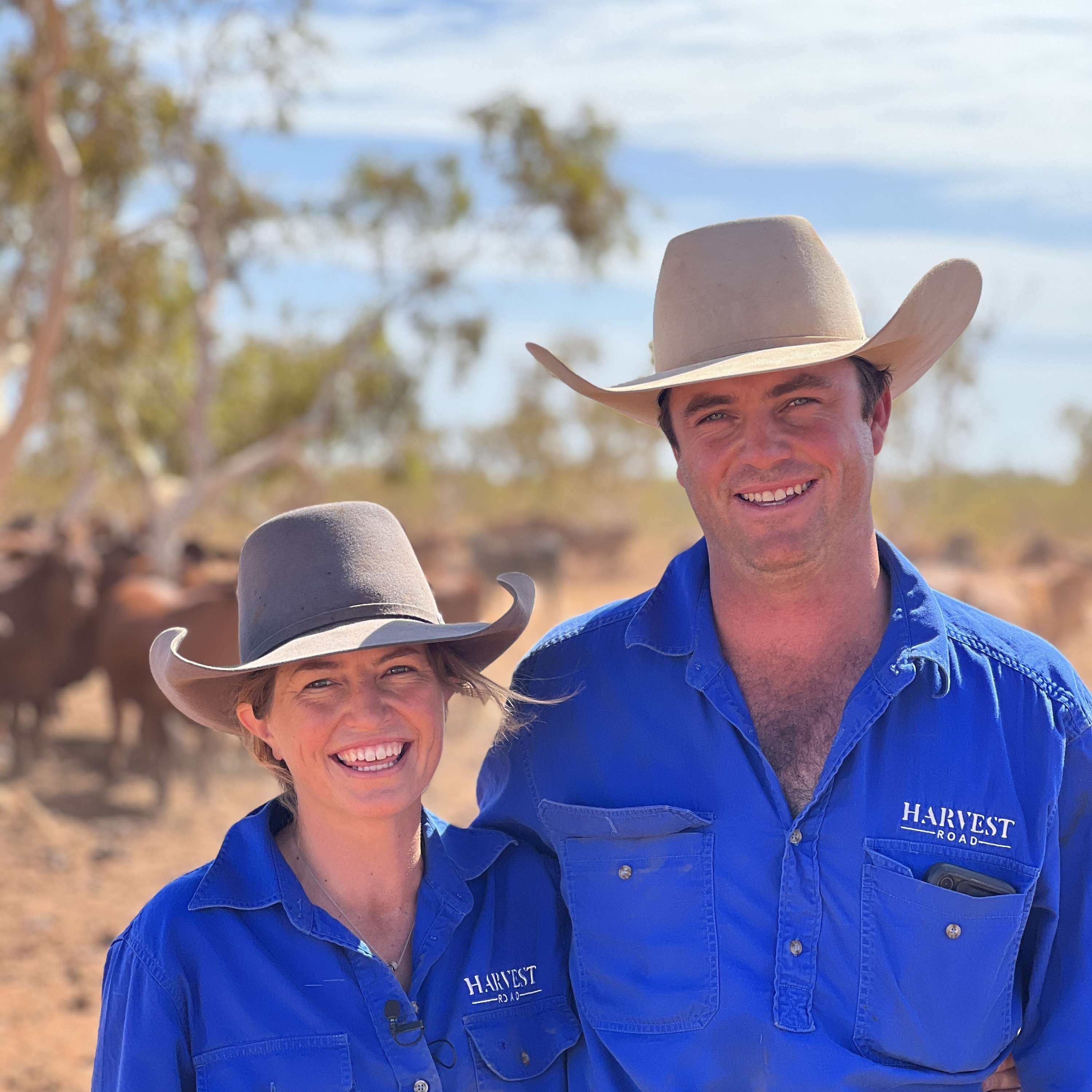 This is Aussie Ag - Harvest Road Group