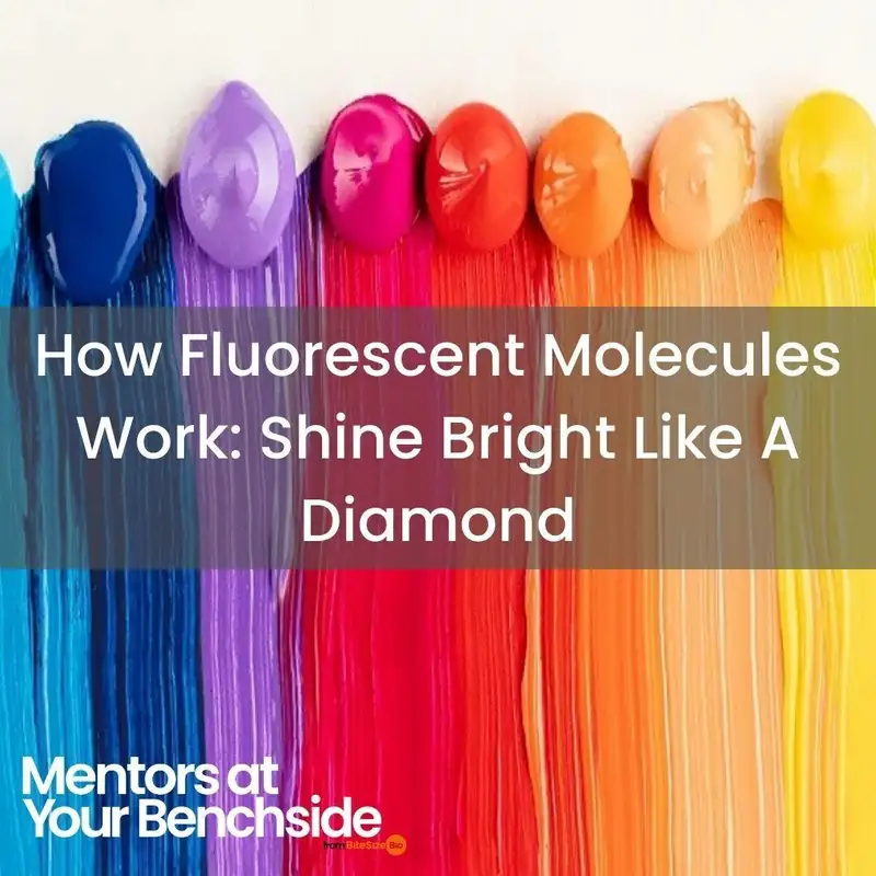 How Fluorescent Molecules Work: Shine Bright like a Diamond