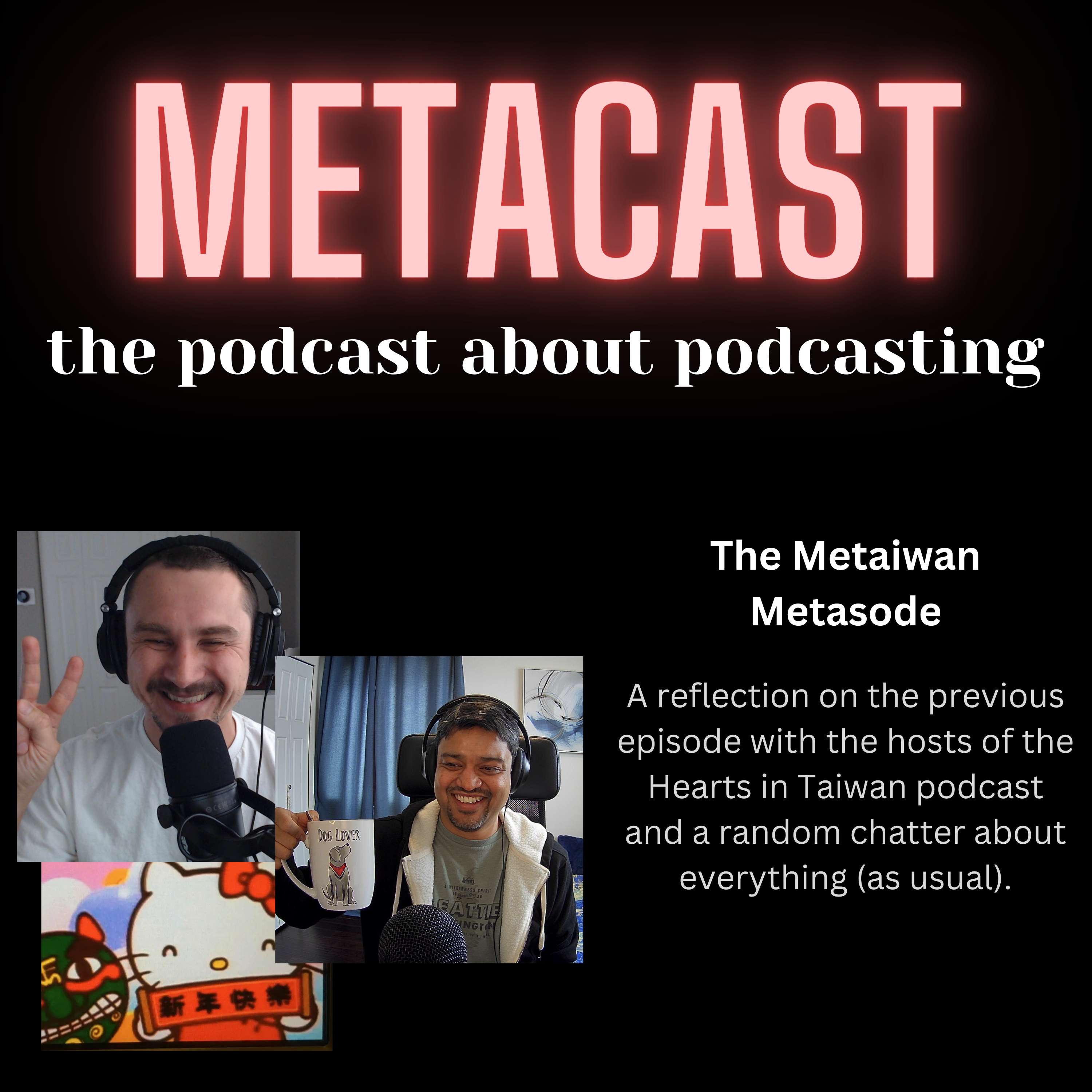 11. The Metaiwan Metasode - podcast episode cover