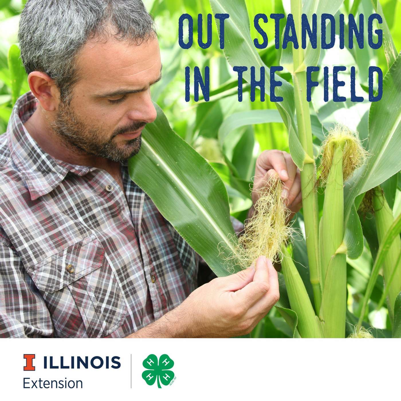 Out Standing in the Field