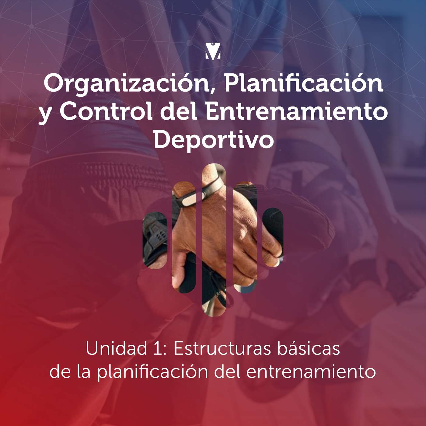 1 - ORGANIZACIÓN, PLANIFICACIÓN Y CONTROL DEL ENTRENAMIENTO DEPORTIVO: Unidad 1 - Estructuras básicas de la planificación del entrenamiento