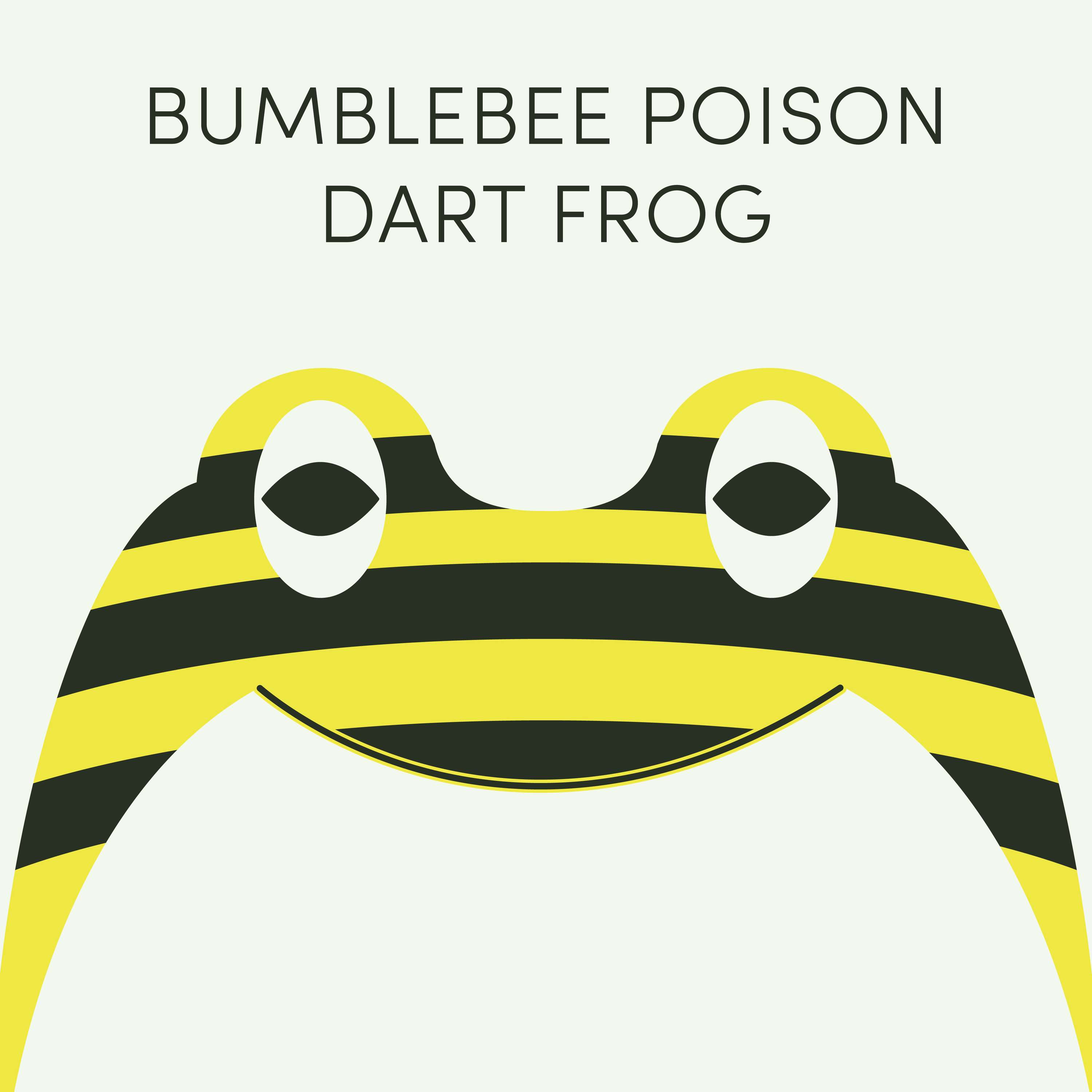 Bumblebee Poison Dart Frog | Week of June 27th