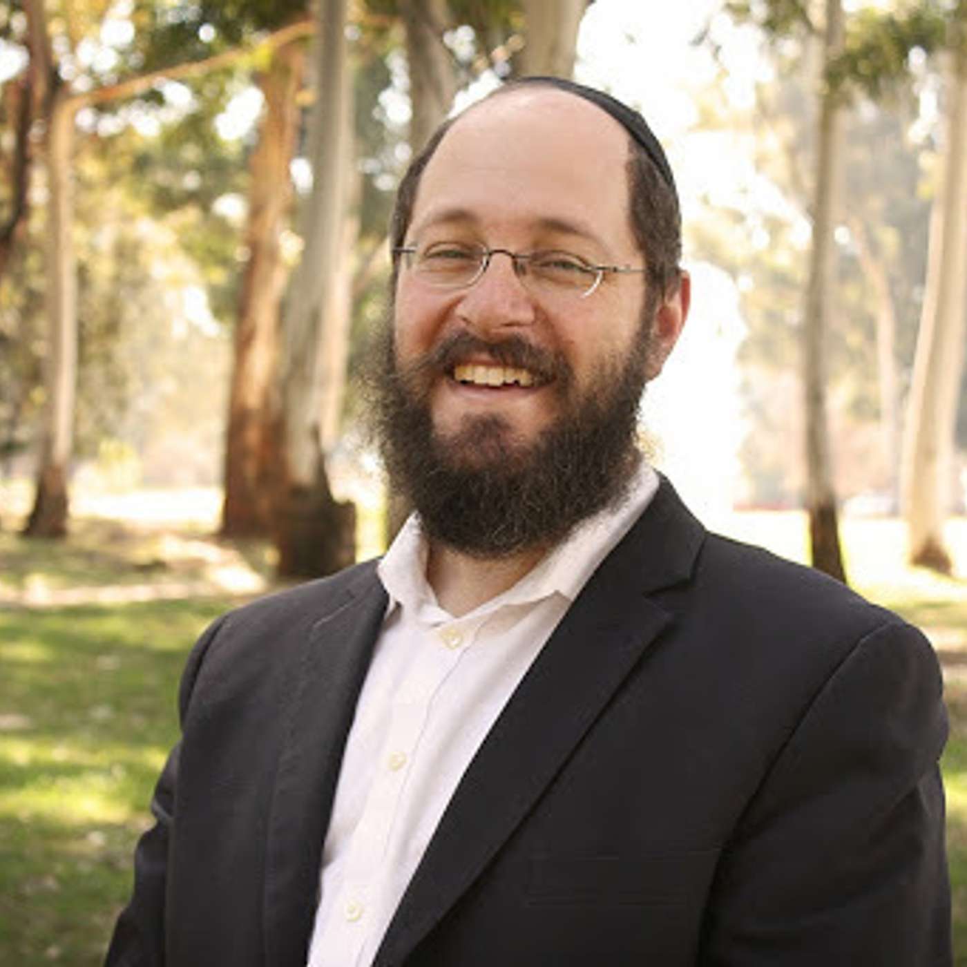 Rabbi Ari Shishler episode artwork