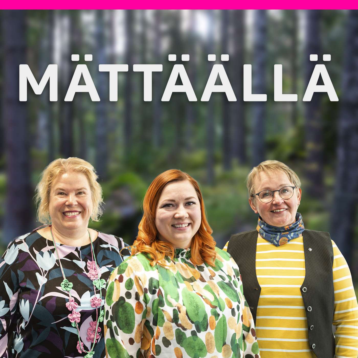 Kuka saa puhua metsistä?