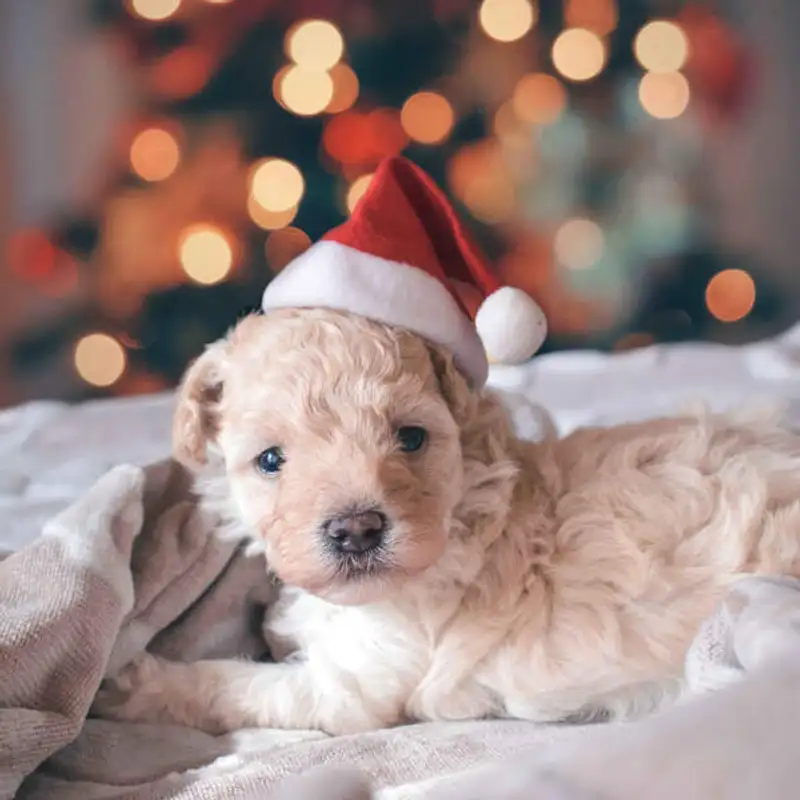 Baby, it's cold outside!