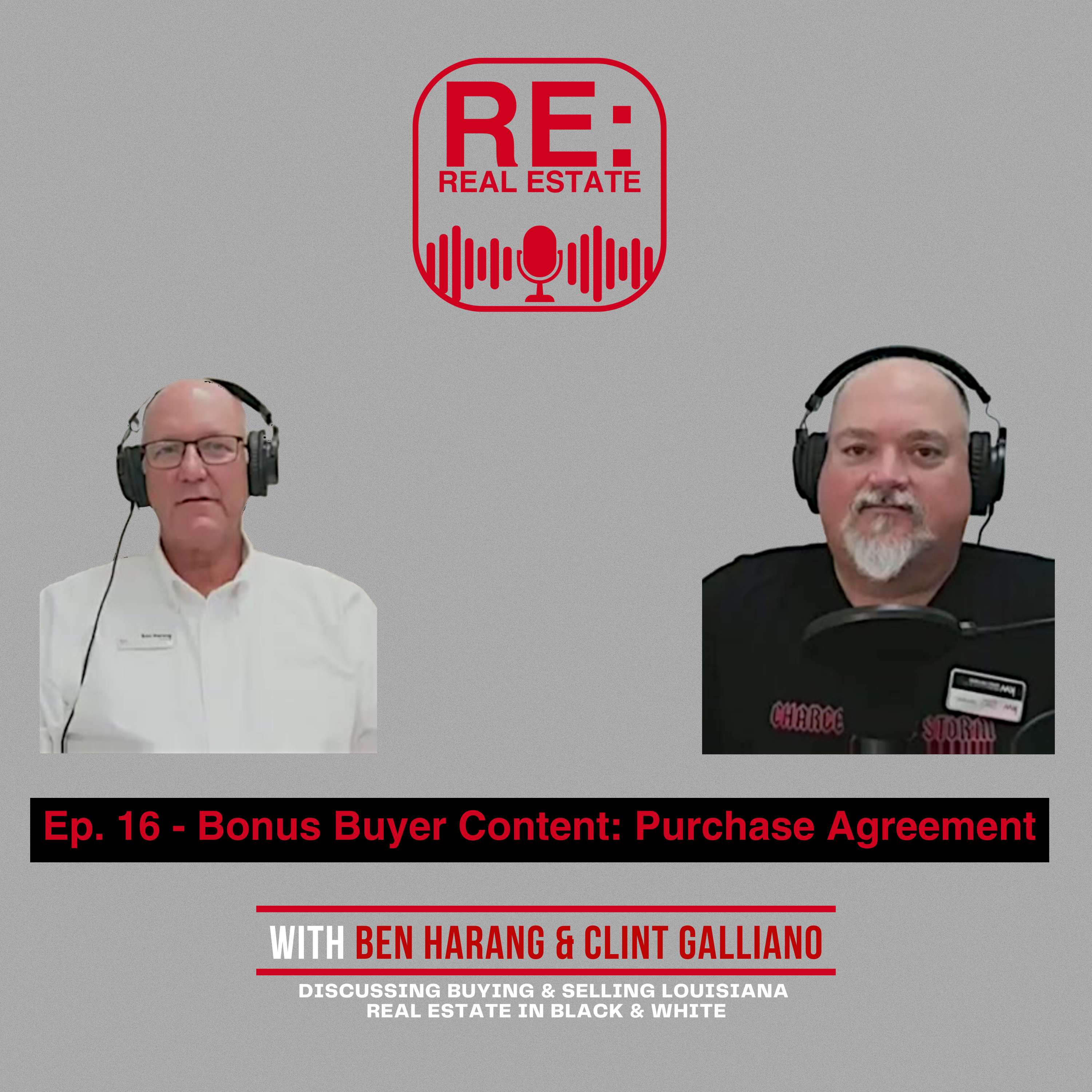 RE: Real Estate Podcast - Video