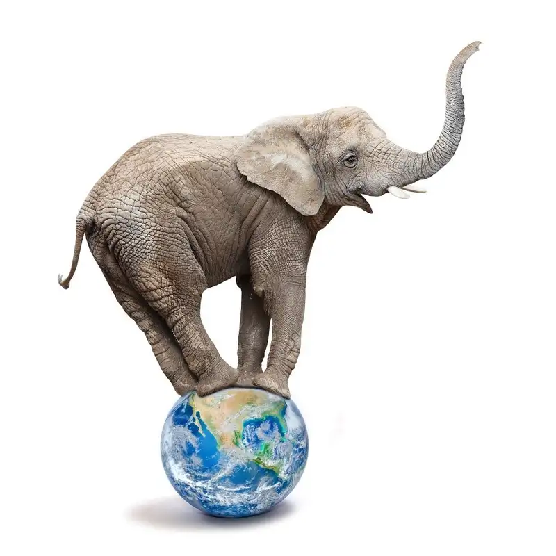 Elephant in the Room on Forest Policy