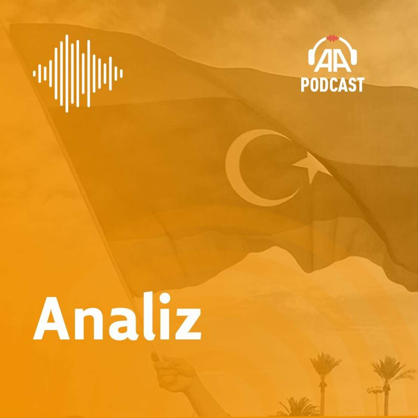 Analiz ve görüşler