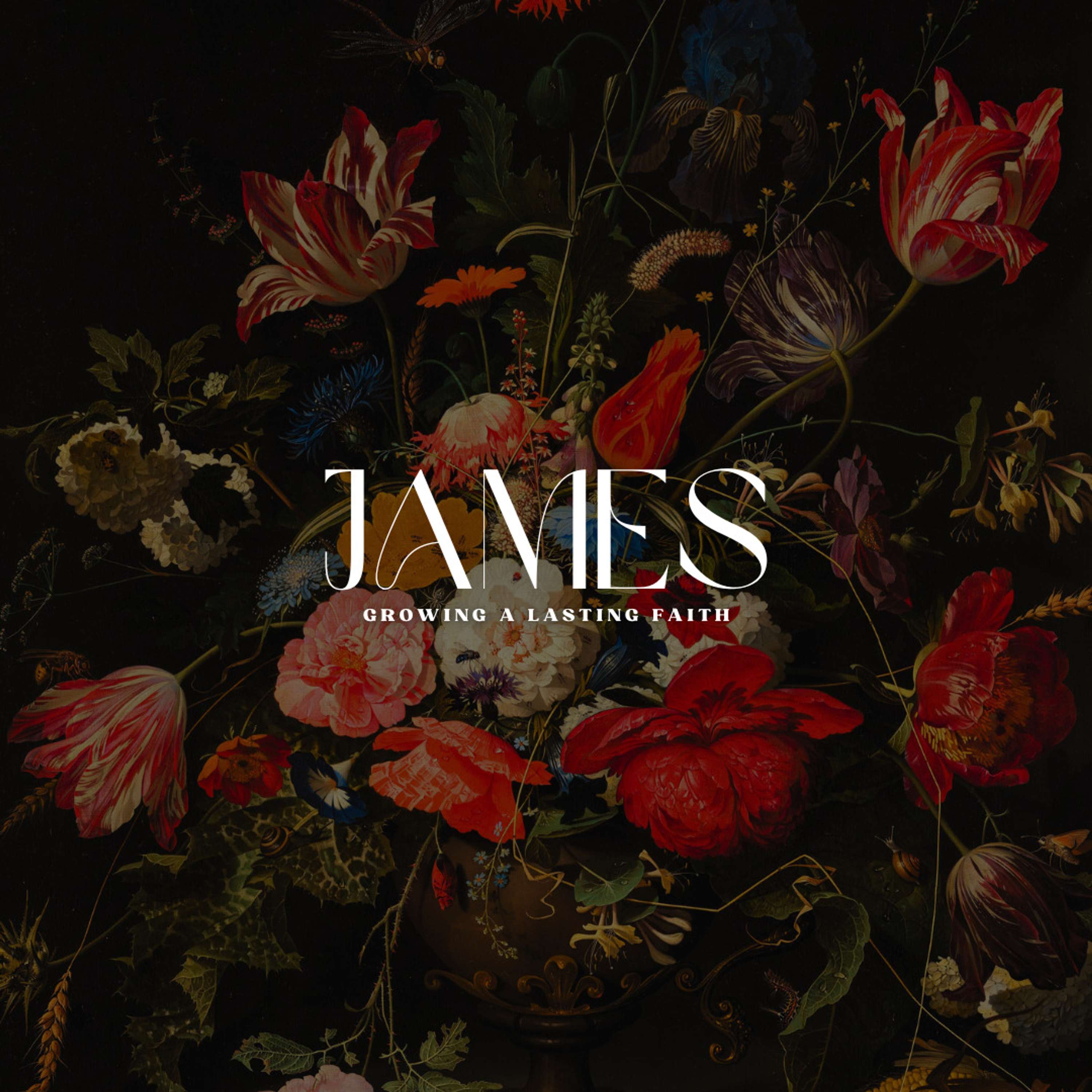 James Week 2 | James 1:13-18