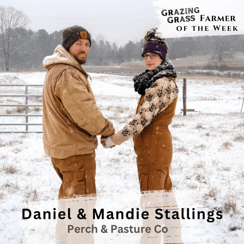 179. Commercial Homesteading with Heart with Daniel and Mandie Stallings