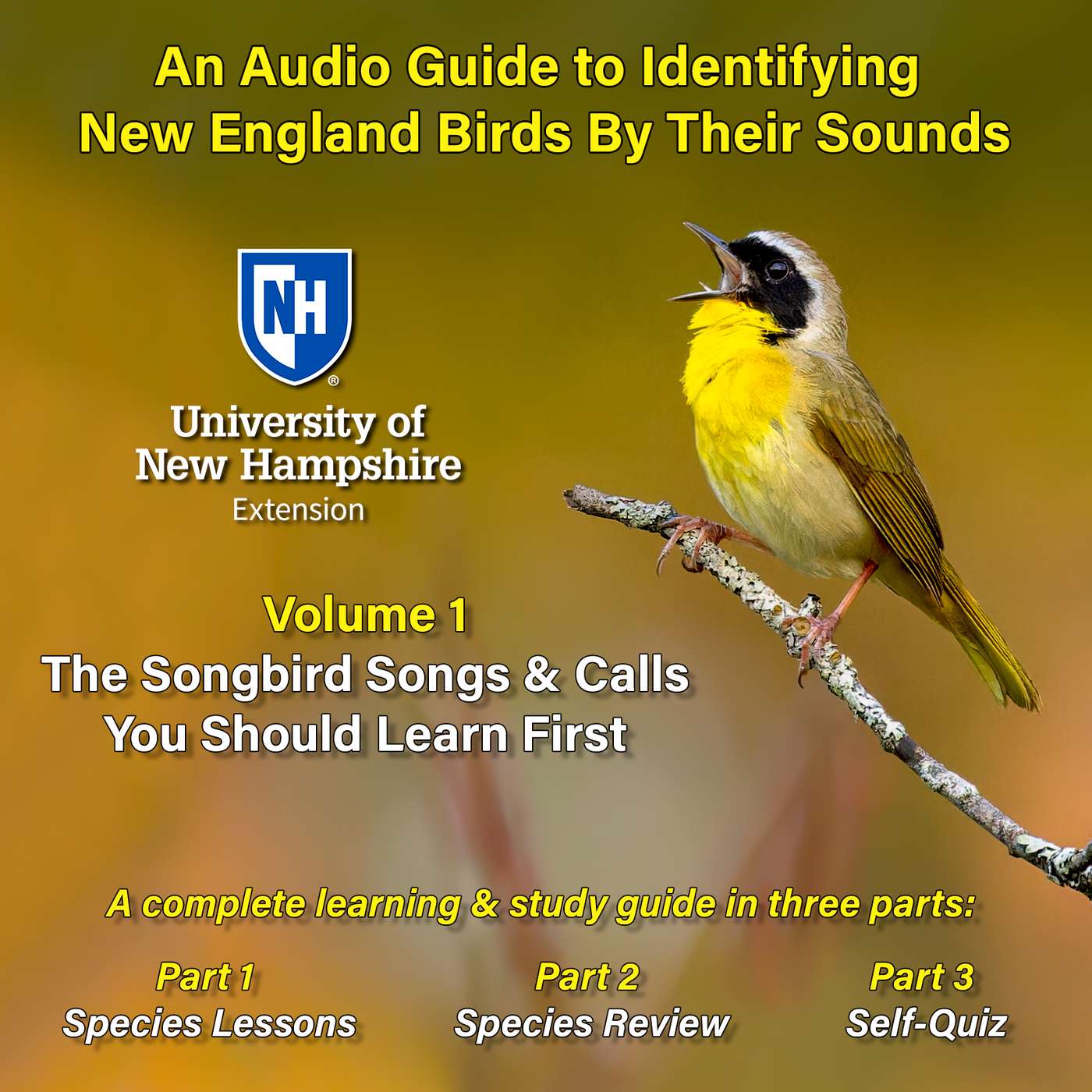 An Audio Guide to Identifying New England Birds By Their Sounds