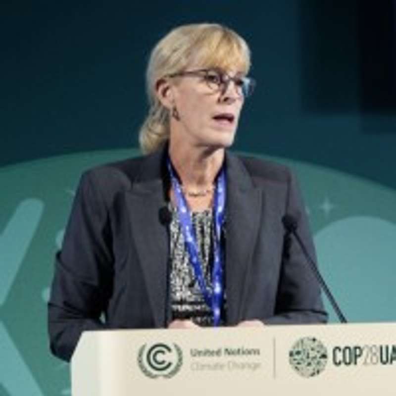 Dr Katherine Romanak