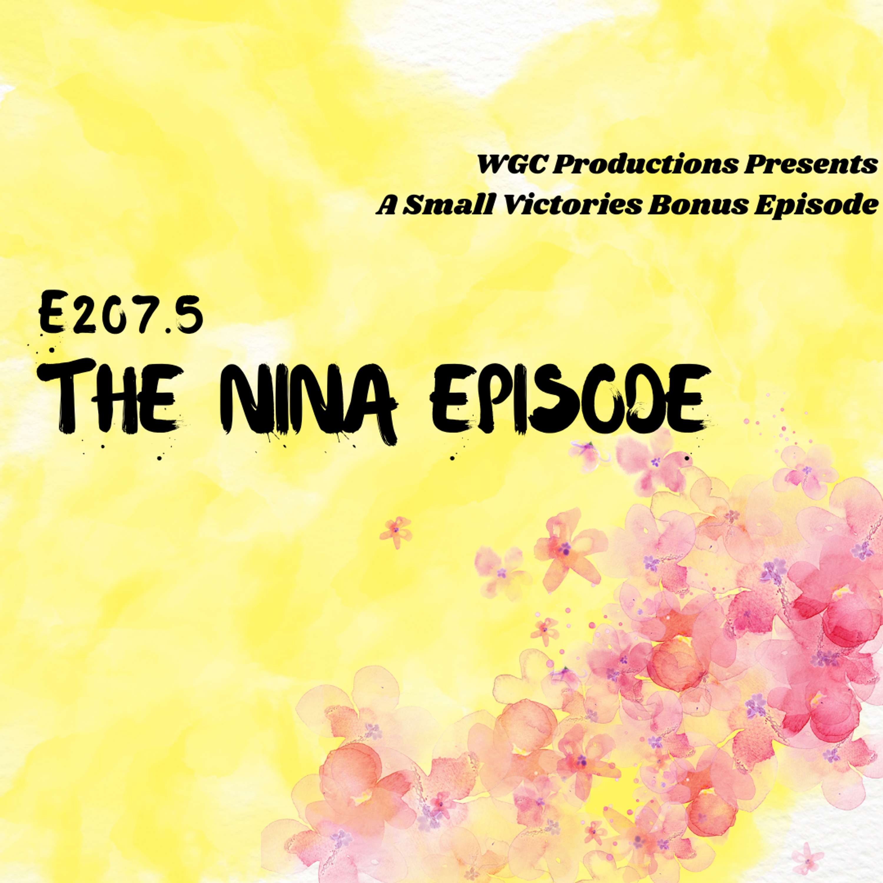 207.5 "The Nina Episode"