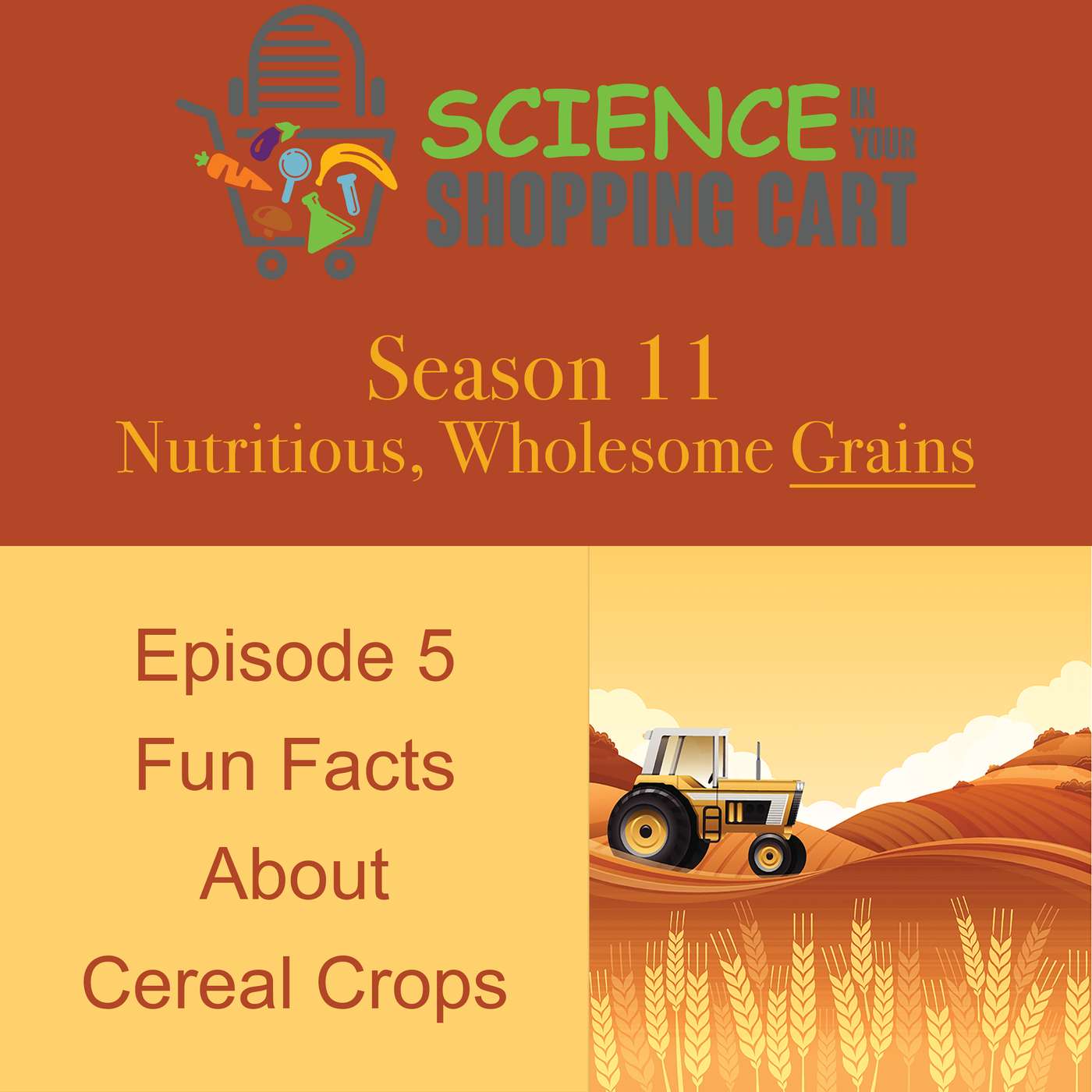 Season 11: Wholesome, Nutritious Grains | Episode 5: Fun Facts About Cereal Crops Season 11: Wholesome, Nutritious Grains | Episode 5: Fun Facts About Cereal Crops