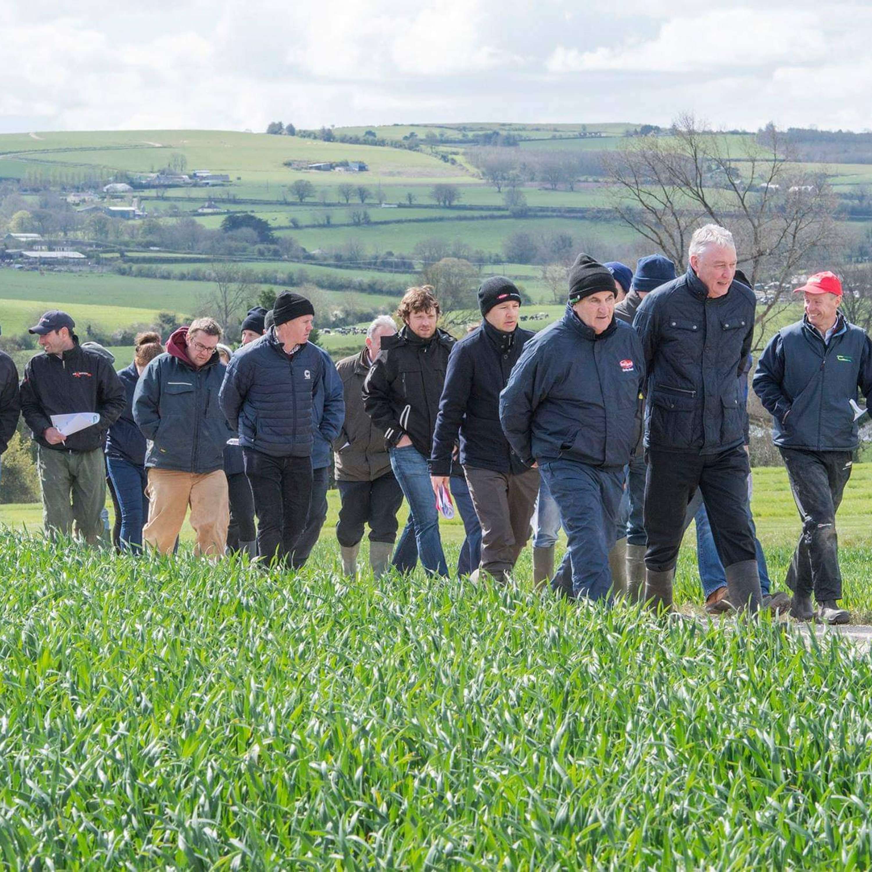 The Tillage Edge