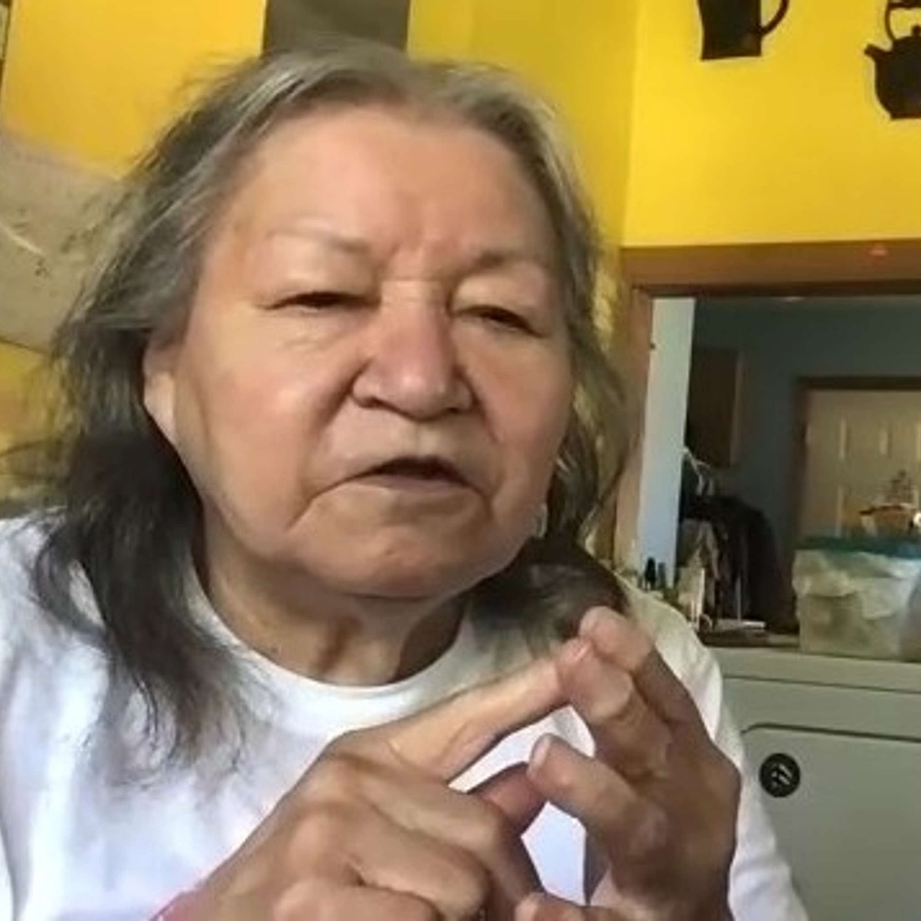 Anishinaabe Bizindamoo Makak Ep. 12 - "Manoominike, the Manoomin Harvest" episode artwork