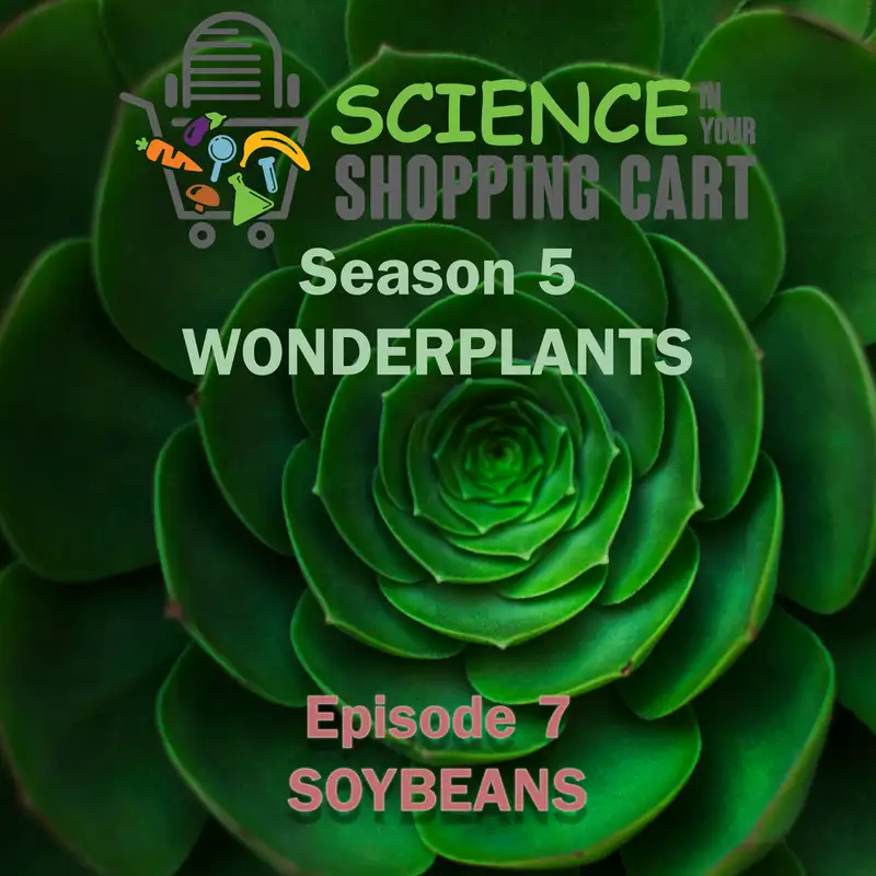 Season 5: WonderPlants | Episode 7: Soybeans
