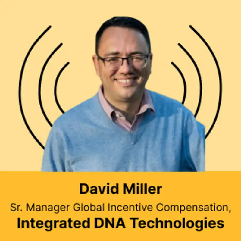 Navigating 3 Decades in Sales Compensation - David's Advice for Upcoming Professionals