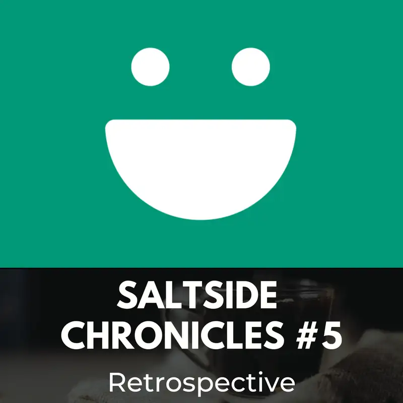Saltside Chronicles #5: Retrospective