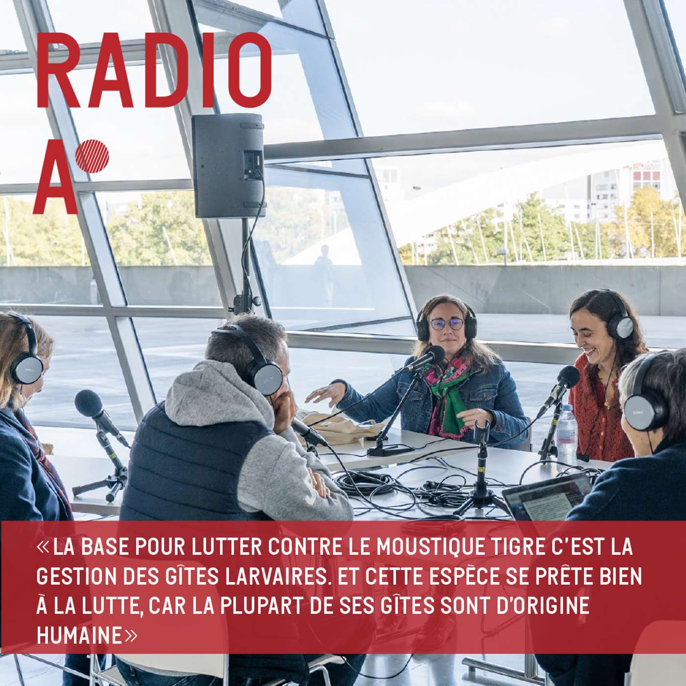 Moustiques tigres : la guerre est déclarée episode artwork
