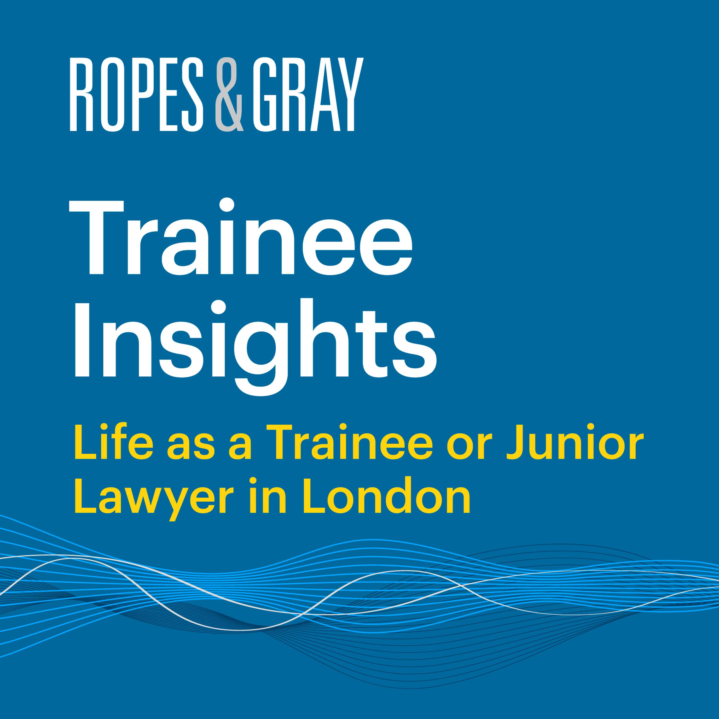 Trainee Insights