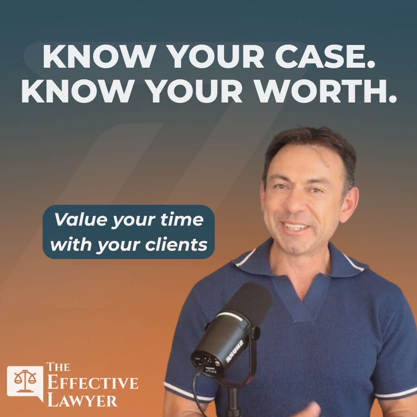 The Effective Lawyer