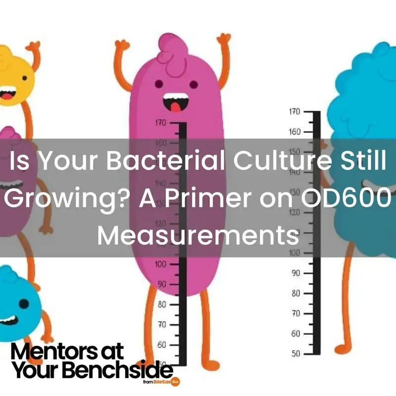 Is Your Bacterial Culture Still Growing? A Primer on OD­600 Measurements